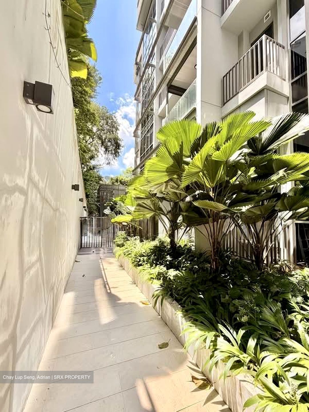 Dunearn 386 (D11), Apartment #536093471